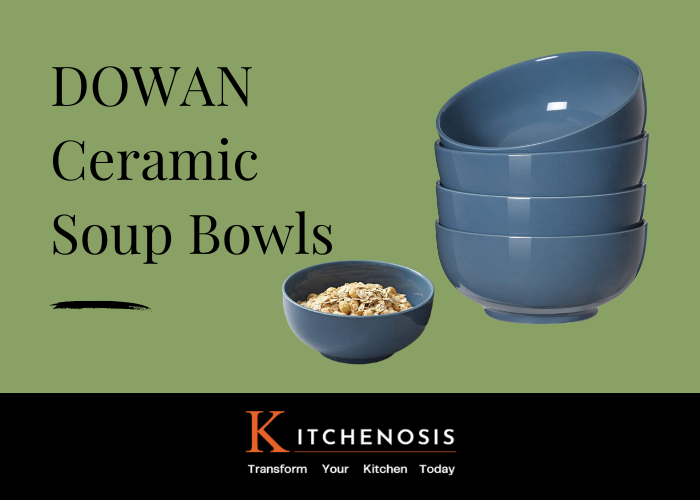 DOWAN Ceramic Soup Bowls