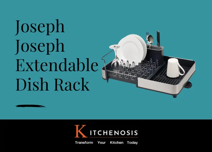 Joseph Joseph Extendable Dish Rack