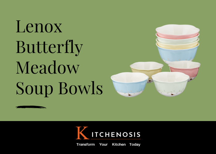 Lenox Butterfly Meadow Soup Bowls