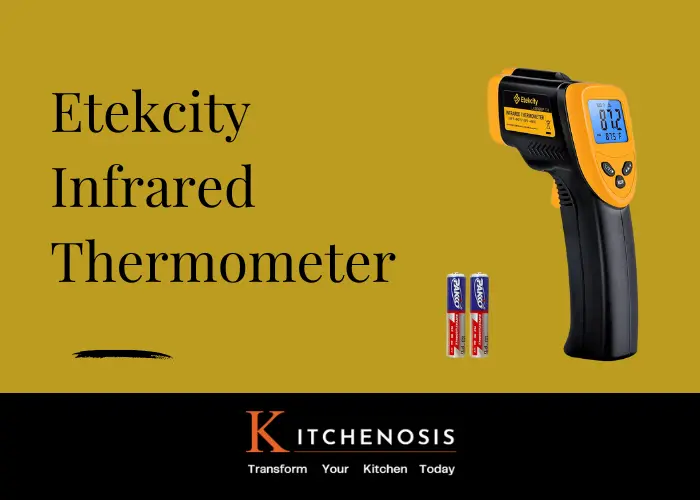 Etekcity Infrared Thermometer Upgrade