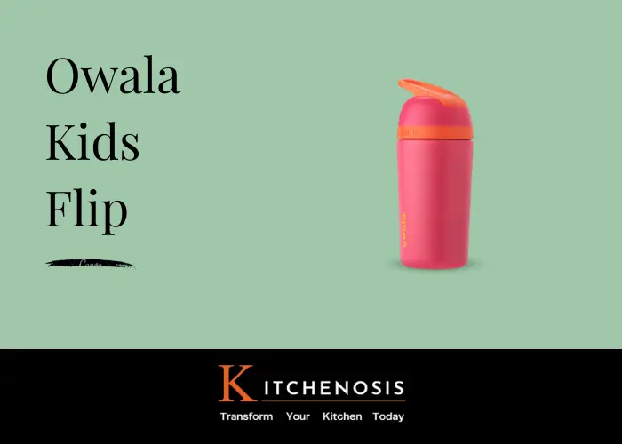 Owala Kids Flip water bottle