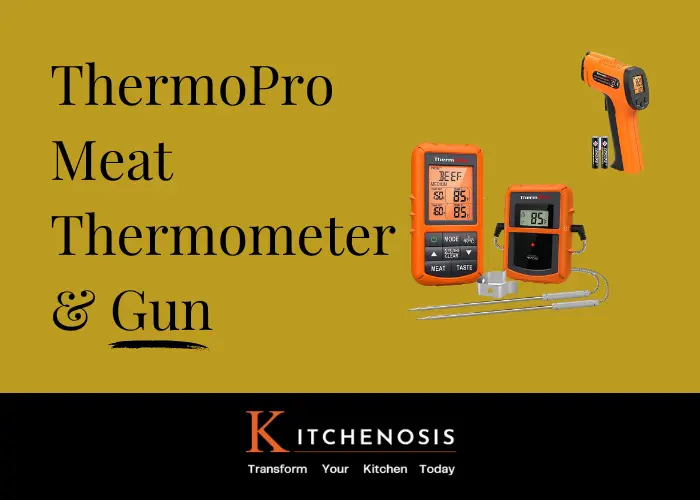 ThermoPro Meat Thermometer + Gun