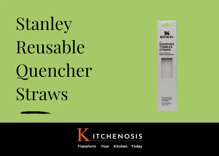 Stanley Reusable Quencher Straws