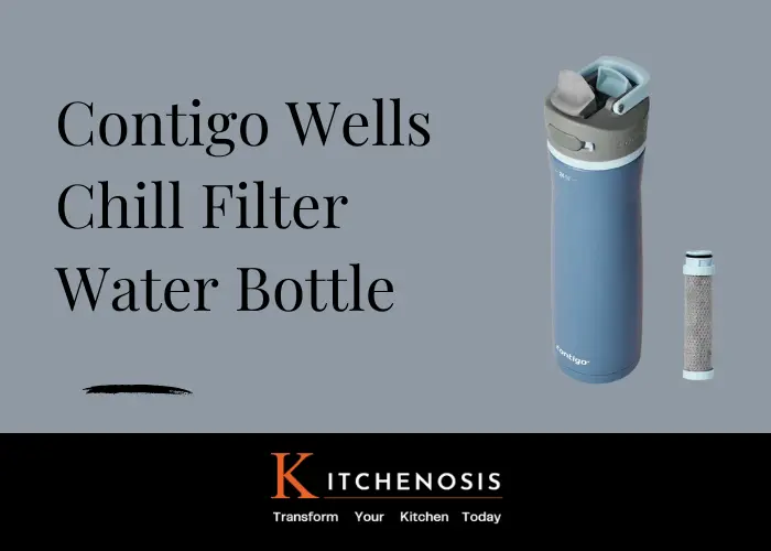 Contigo Wells Chill Filter Water Bottle